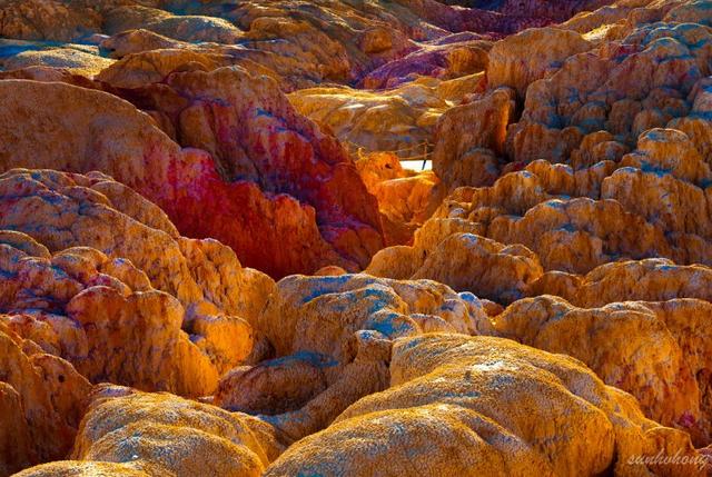 全国都要羡慕死北疆了|乌尔禾魔鬼城|虫|可可托海_新浪新闻