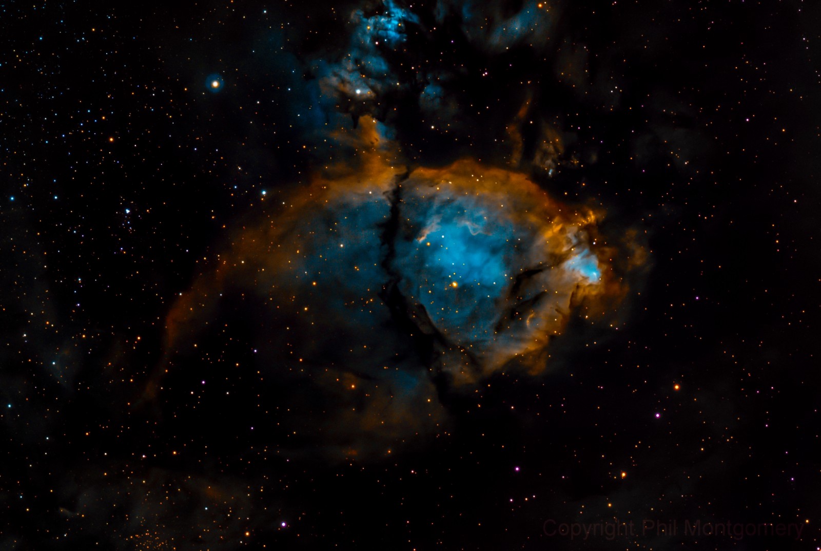 盘点宇宙中的"动物"ic1795鱼头星云|zwoasi|天文相机|天文摄影