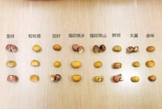 史上最全南京板栗评测 我们肉测告诉你究竟哪家好吃