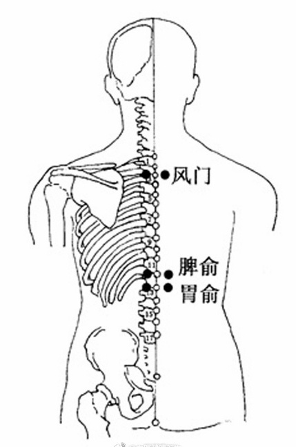 胃脘下俞的准确位置图图片