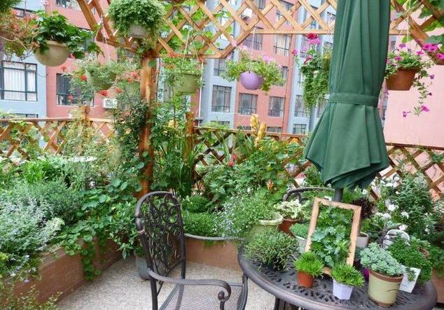 几万打造一个30平的露天花园网友这是在哪到时候一定去参观