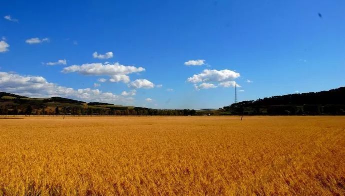 立秋来了,跟t透一起收获美好