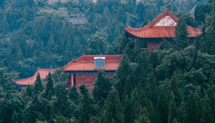 古寺秋雨净,洗濯世尘埃|古寺|秋雨|林叶_新浪新闻
