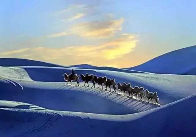 天边的美丽骆驼,太美啦!