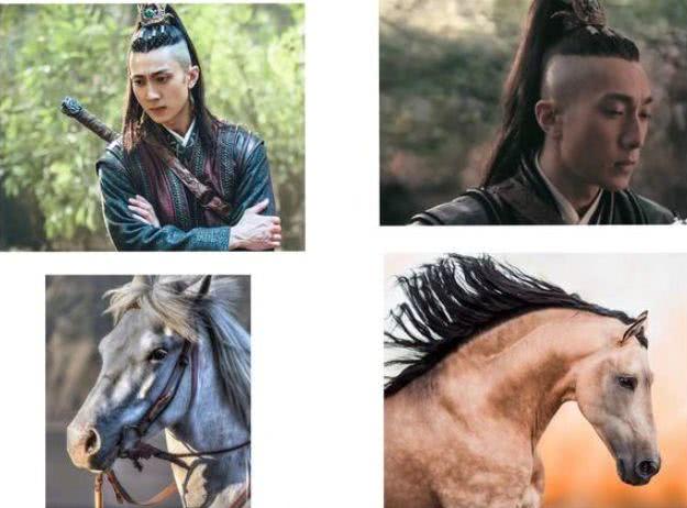 武动乾坤吴尊骏马头火了p到朱一龙鹿晗头上帅到爆炸