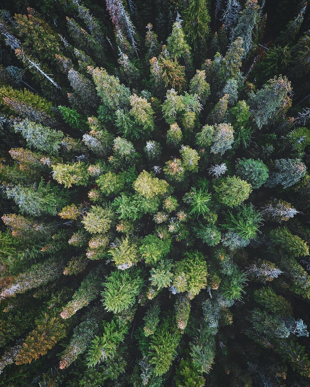 俯视大地波特兰摄影师nickverbelchuk