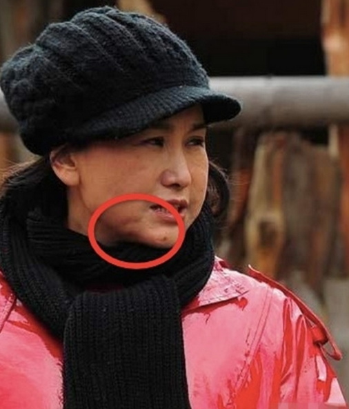 和导演因戏生情,为丈夫守寡4年,现50岁被称"女版"高晓松