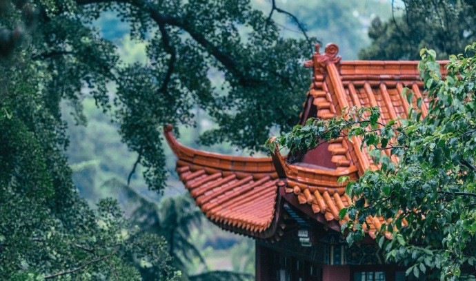 古寺秋雨净,洗濯世尘埃|古寺|秋雨|林叶_新浪新闻