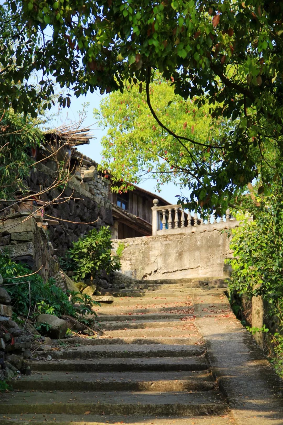 联合国|济公|国清寺_新浪新闻