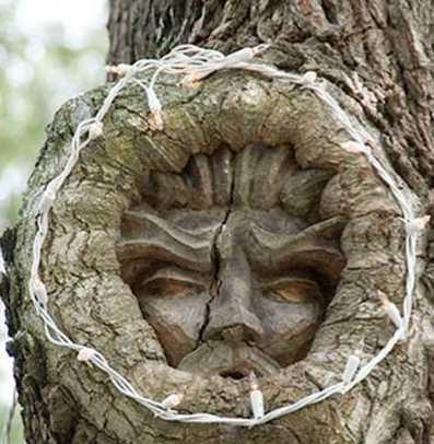 美国一男子在树上雕刻出形态各异的人脸面孔画风诡异