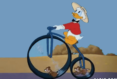 水乡三道堰泼水节划龙舟抢鸭子,总有一款适合你