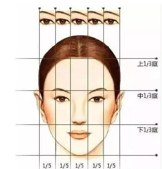 盘点娱乐圈里的明星们谁的三庭五眼最好看