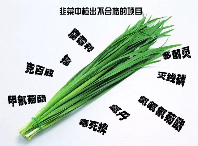 韭菜|蔬菜|毒死蜱_新浪新闻