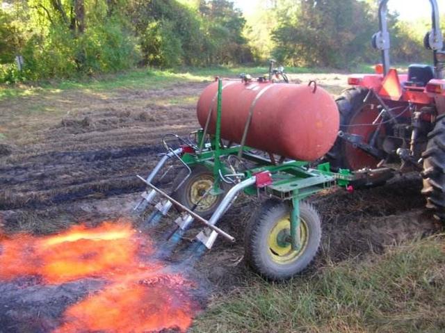那么像外国一样,用火焰来除草怎么样?