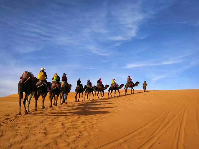 去大西北深入体验多元文化特色,尽情捕捉飞鸟牛羊的各种姿态,还有日落