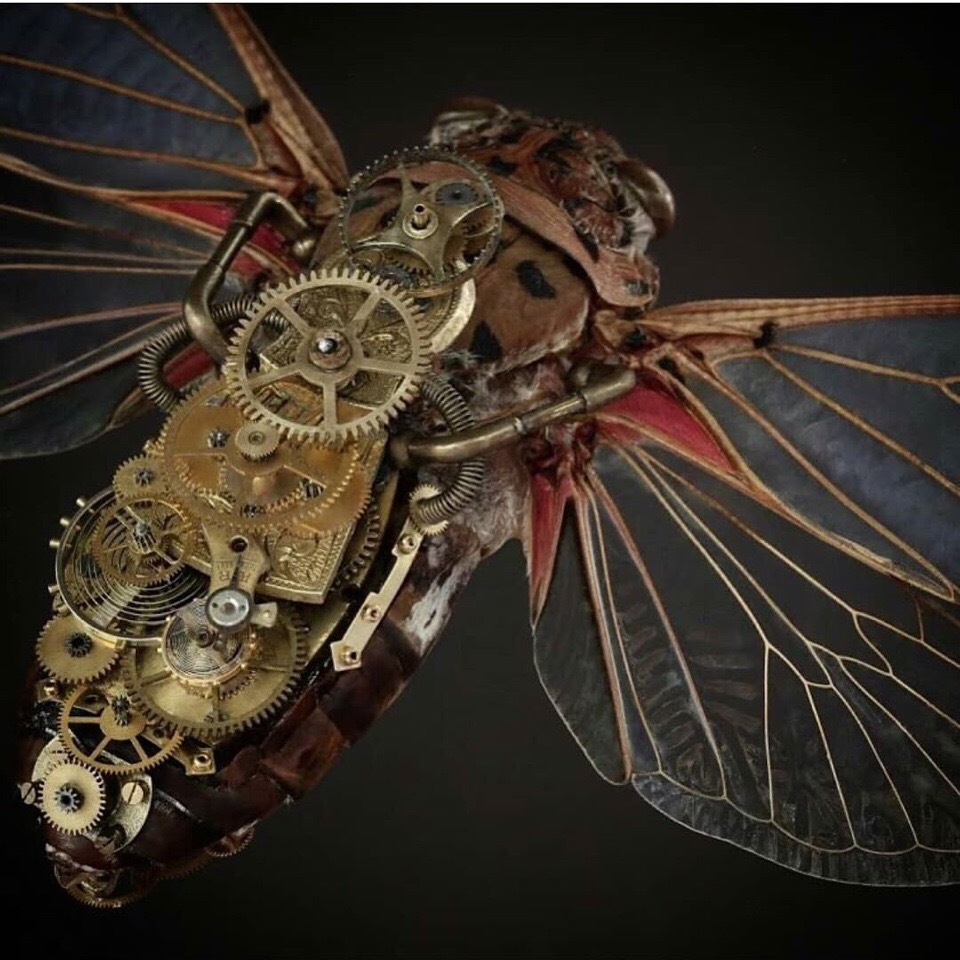 机械雕塑 | ins:gaby_wormann