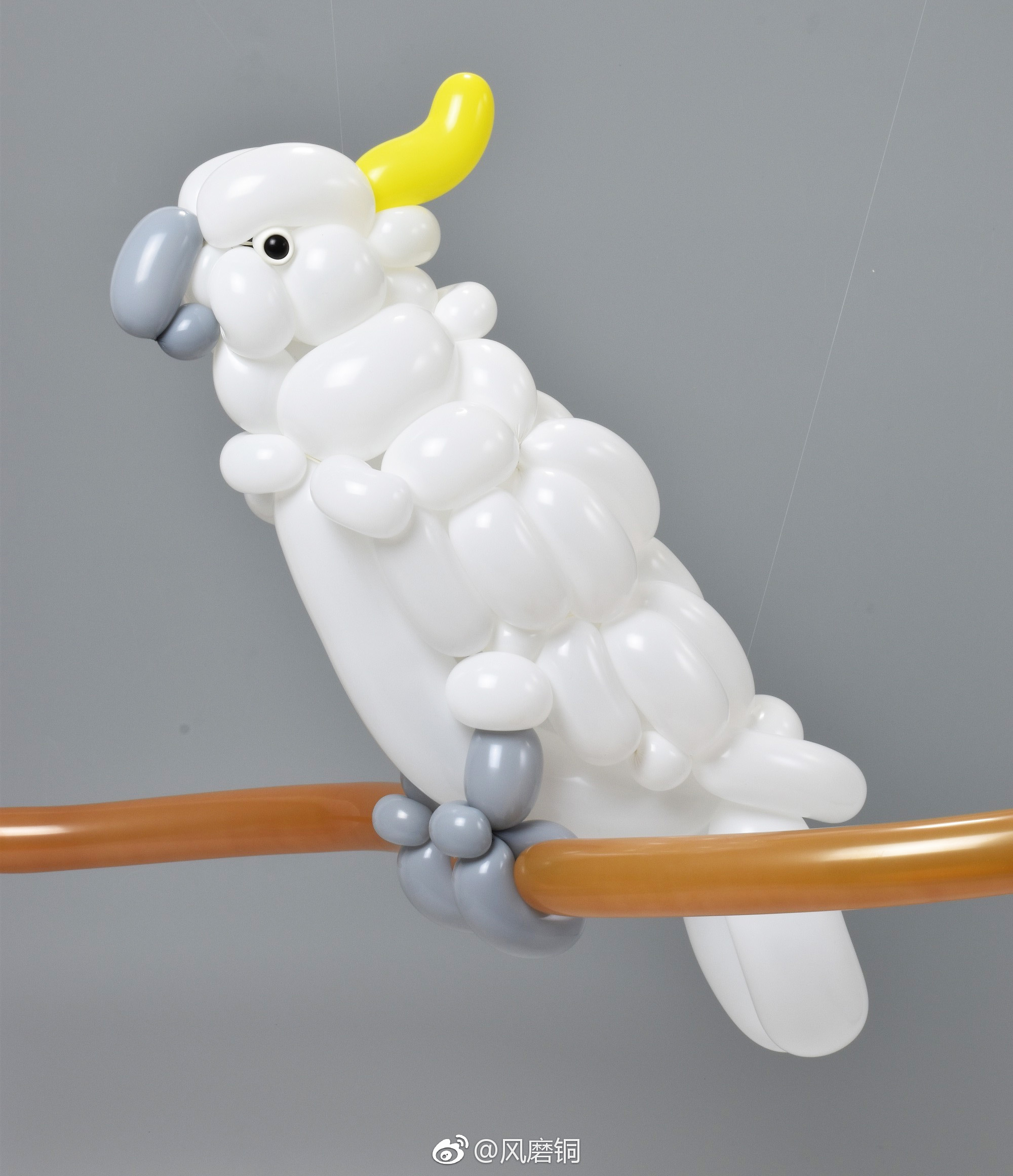 花样气球,这些有没有唤起你过去的回忆?masayoshi matsumoto