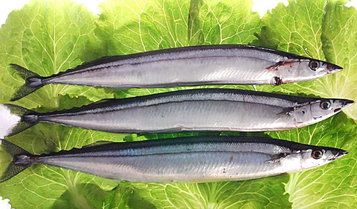 错误吃法可能会造成严重后果|青占鱼|秋刀鱼|吃法_新浪新闻