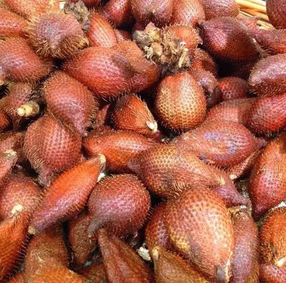 云南人吃了一辈子的29种水果竟然是这样长出来的