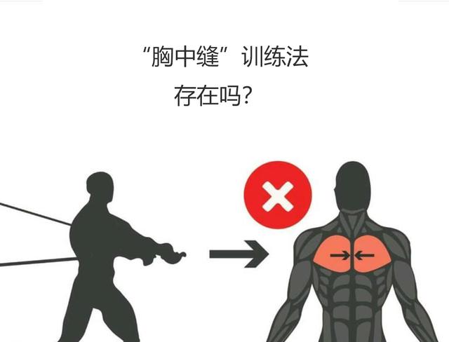 不存在的"胸中缝"肌肉训练|胸肌|肌肉|训练_新浪网