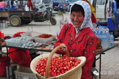 烟台大樱桃红啦;12大品种成熟时间表+采摘全攻