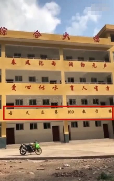太暖心,古天乐第100所学校照片曝光,墙上标语醒目!