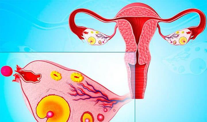 妇科医生:不要害怕绝经,你绝对不知道,绝经对女人还有2点好处|乳房