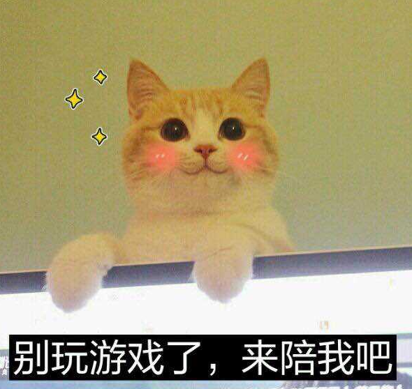 当你认真打游戏的时候突然窜出一个身影.喵:快看朕美妙的身姿