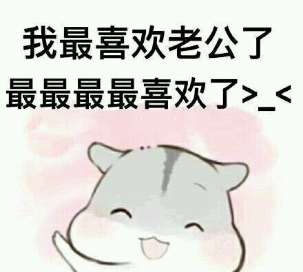 撩妹撩汉情话表情包请查收告白失败算我输