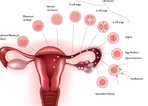 3个理由告诉你,女人定期做体检,是对身体负责的行为|妇科|妇科检查