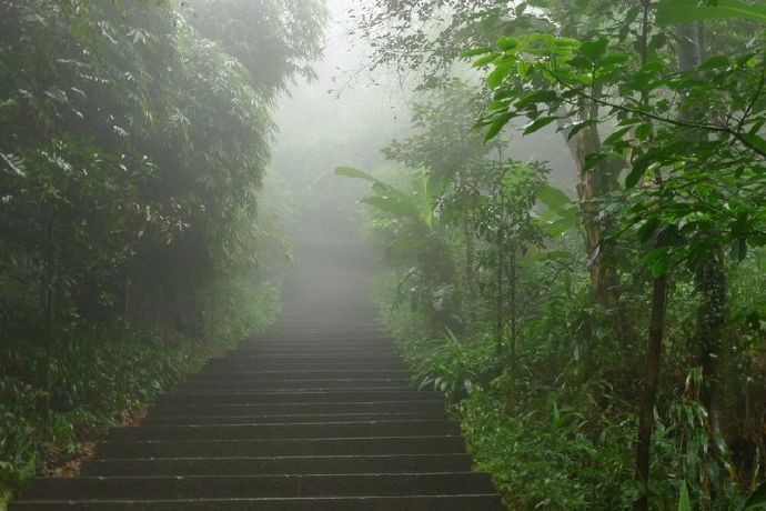 清雾绕山寂,雨帘新翠舒