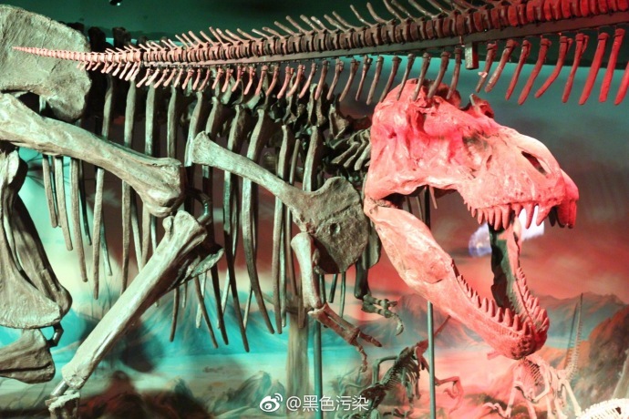 广式生活##广州旅行# @广州正佳广场 6楼的自然科学博物馆开张了!