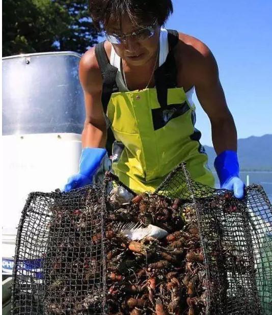 但毕竟国情不同,我们需要站在他人的立场上想一想,但是直接踩死小龙虾