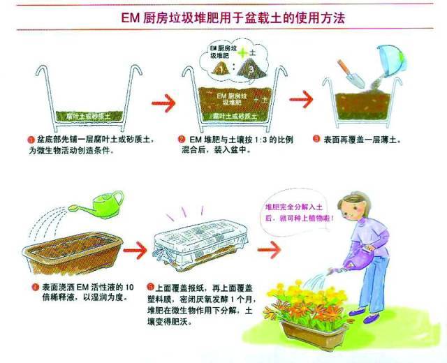 环保新创举蟑螂蚯蚓将垃圾变废为宝还有国家在进口垃圾