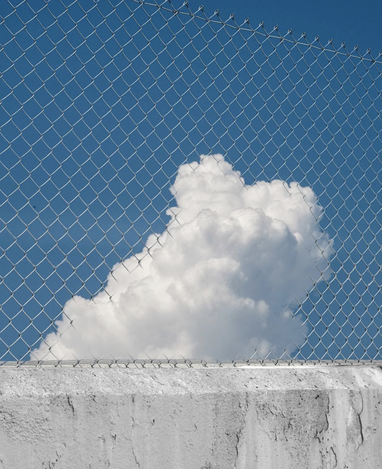 7815 《捕云》 kanghee kim  想把你牢牢套住,只让自己拥有.