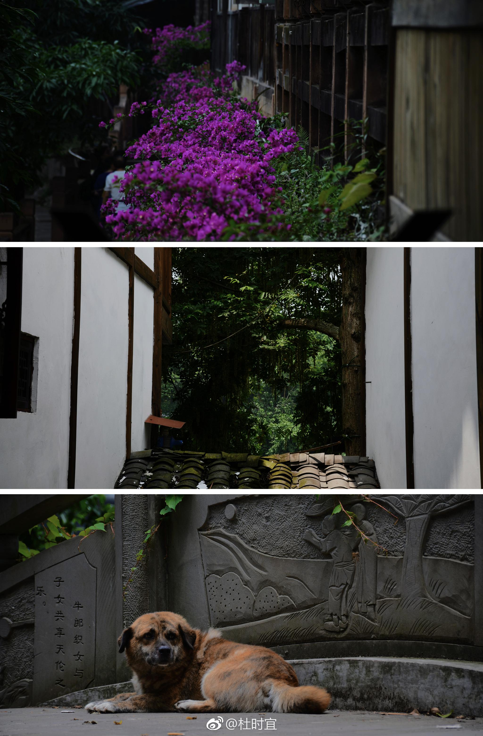 暑至竹窗,清溪闲行.