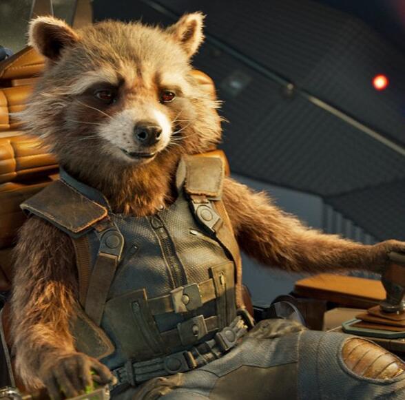 连人形生物都不是的浣熊火箭,是靠什么站稳银河护卫队的呢?