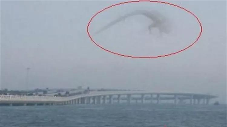 真的假的?真龙真的存在吗?