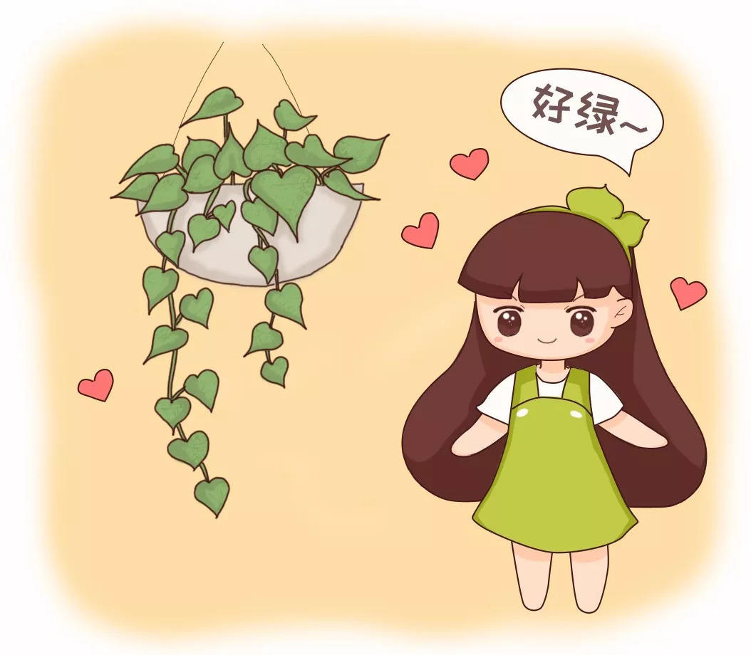 快死的绿萝别扔咔嚓一剪刀1个月后再次绿油油