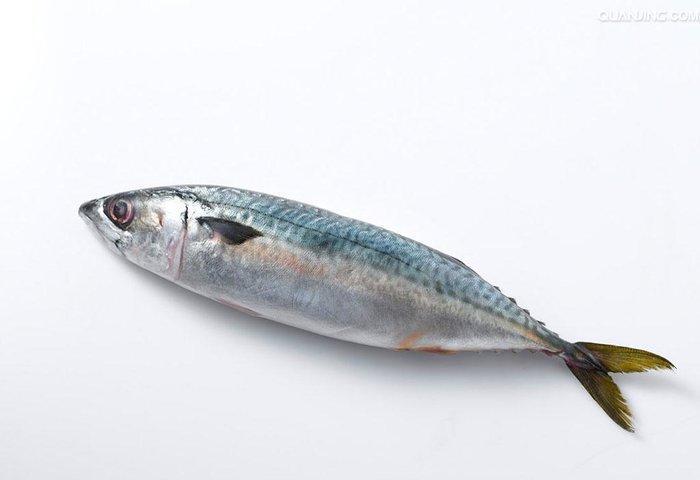 关于刺身食材与个人对刺身的体验的简谈|金枪鱼|鲷鱼|鲣鱼_新浪新闻