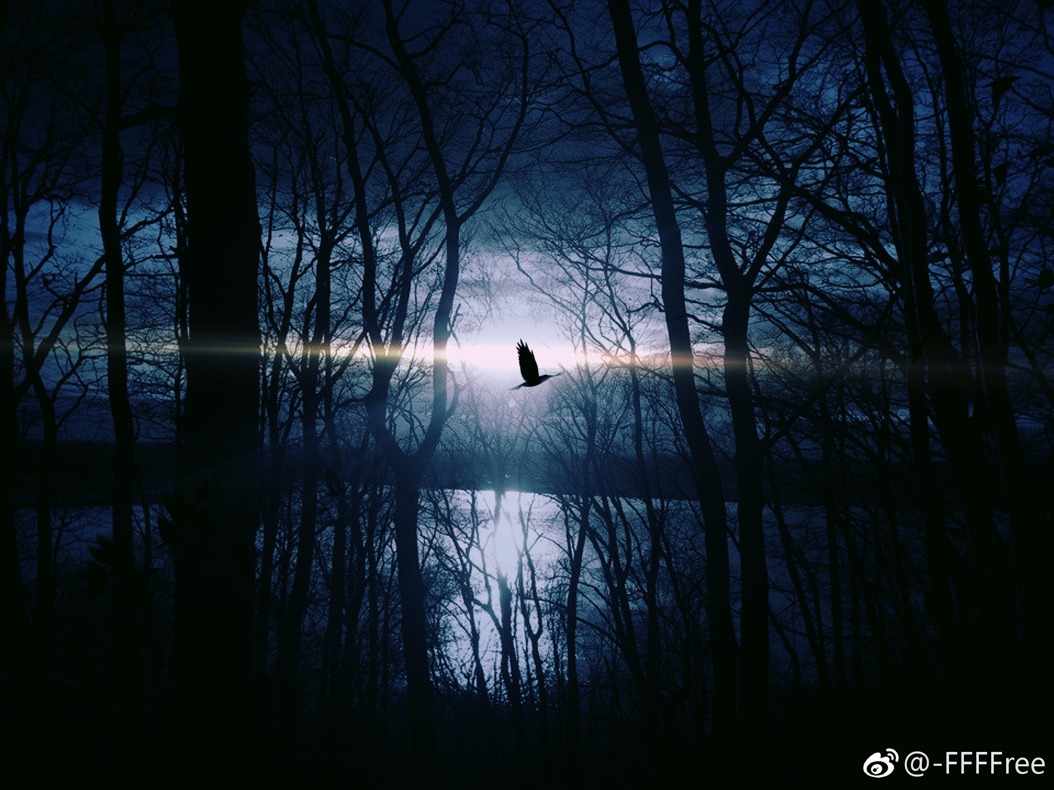 雾林 孤独主题 路灯 昏暗 车灯 朦胧高清可私戳 or f