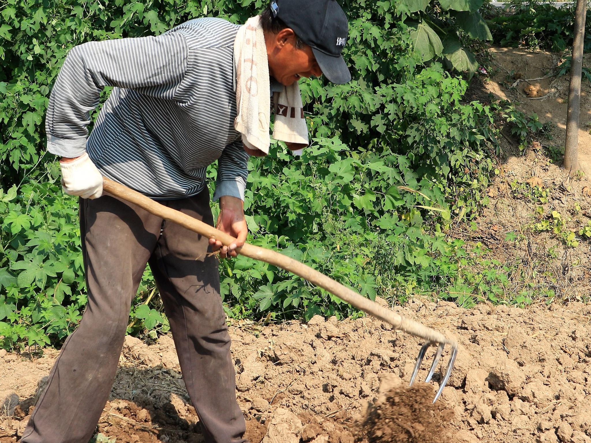 农村老人高温下"淘金",每天挣钱不足50元,背后故事让人心酸