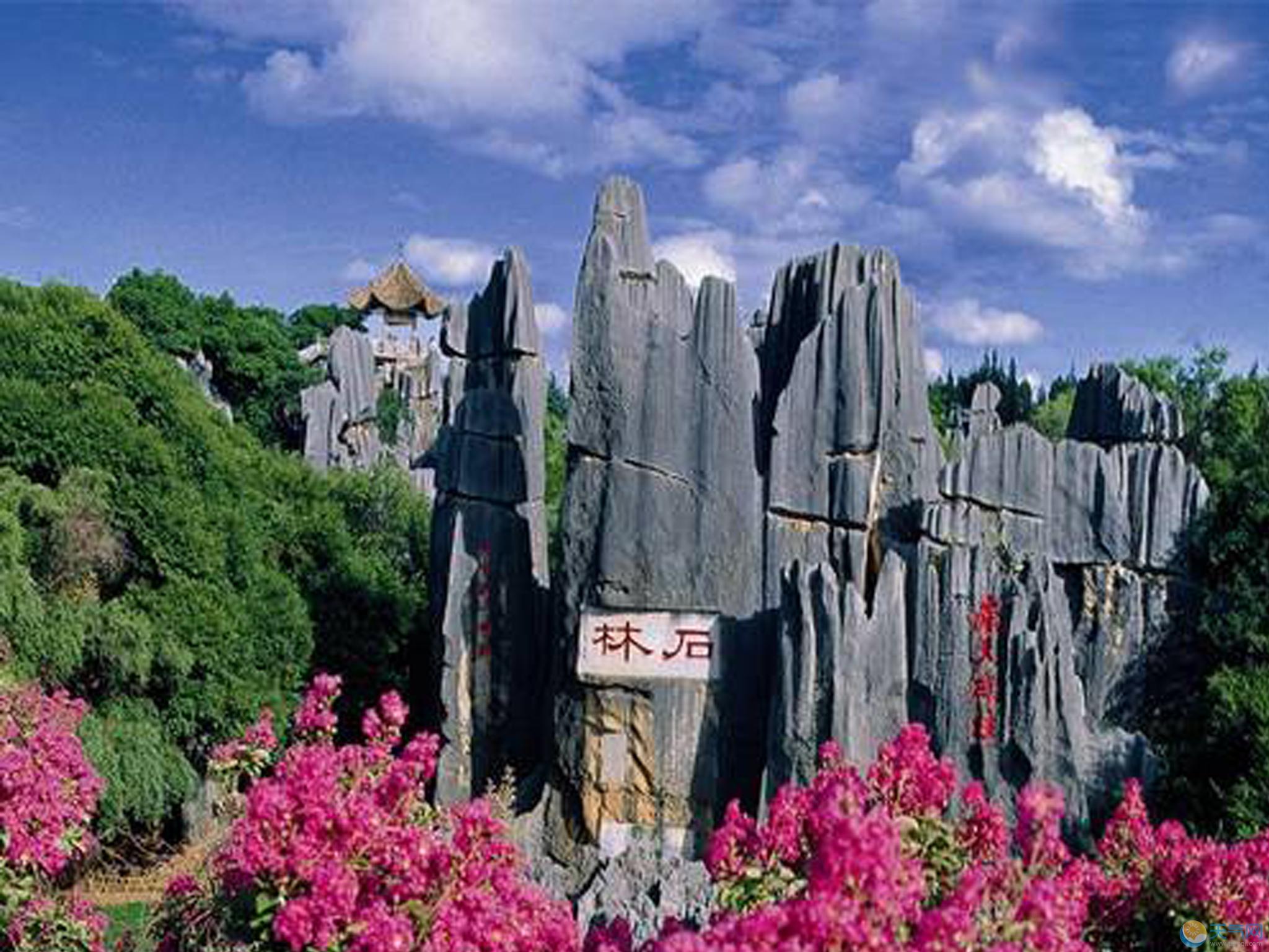 云南|石林|风景名胜区_新浪新闻