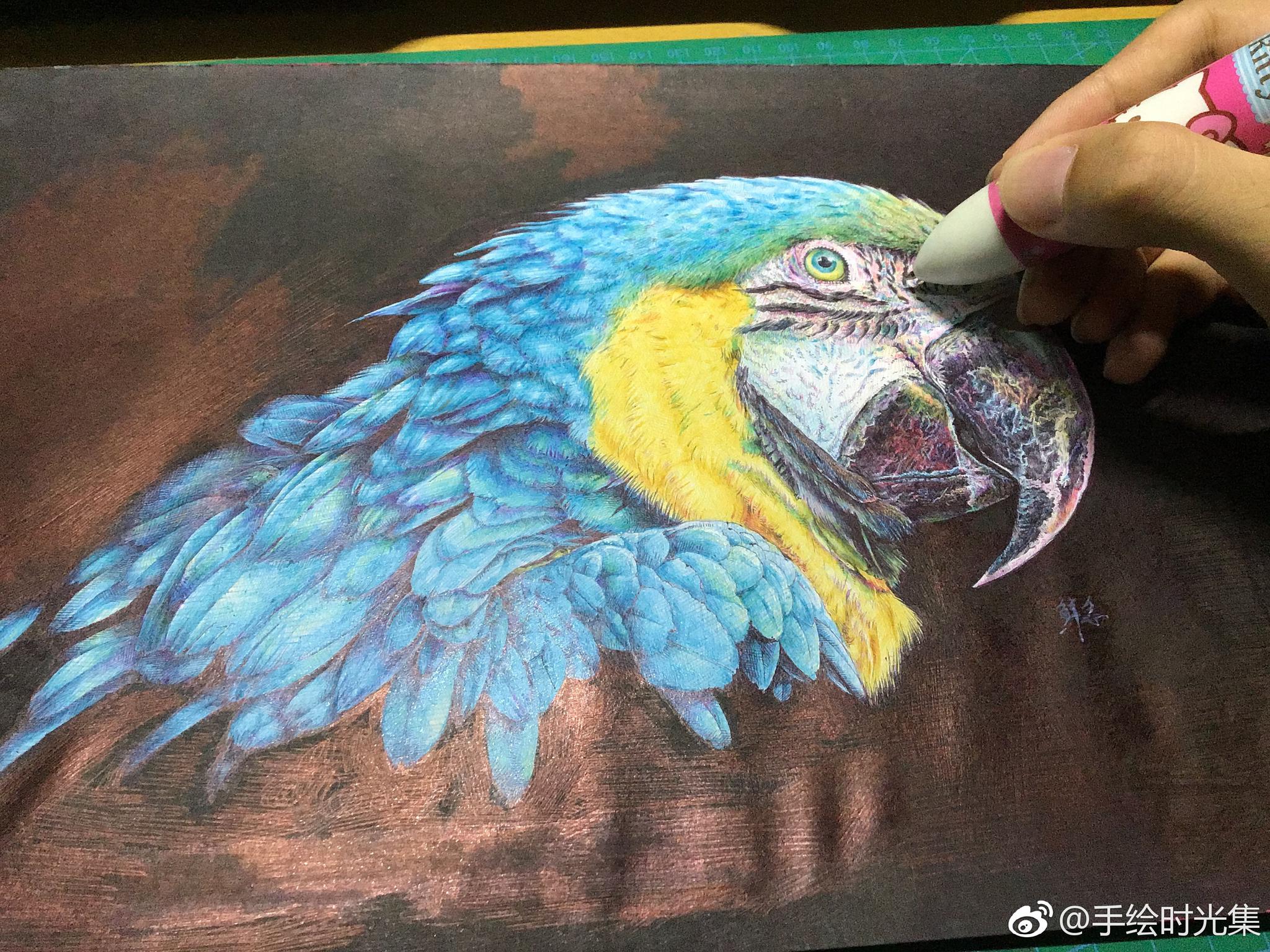 鹦鹉怎么画圆珠笔图片