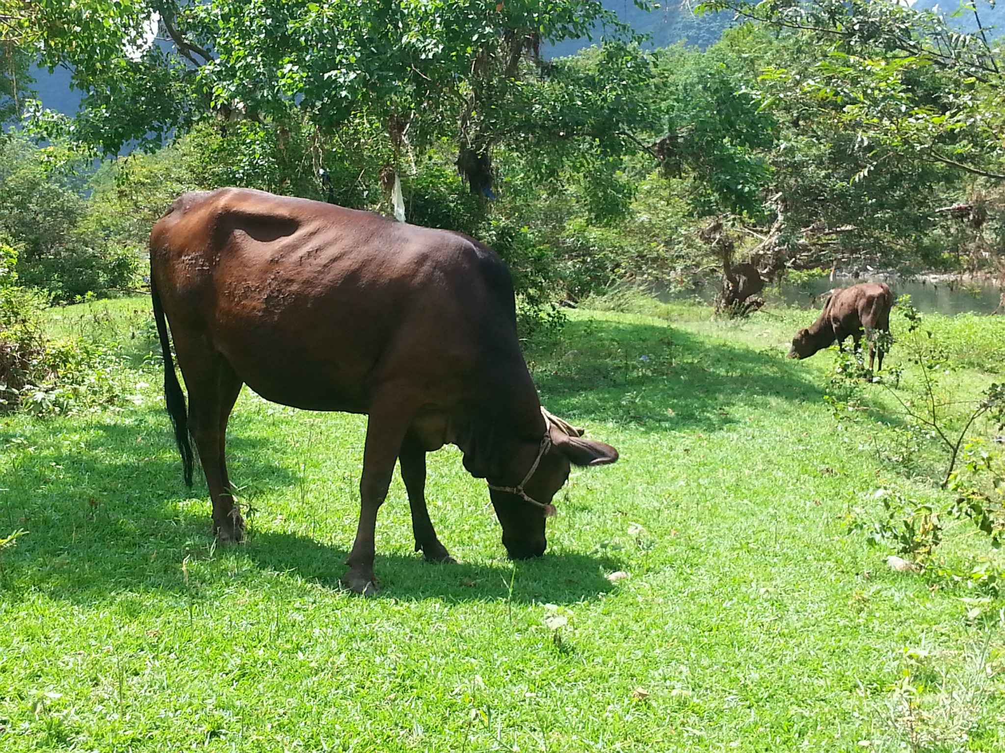 73财运:除了凶星有"的煞","贯索","破碎","卒暴","勾神"等,都是无关紧