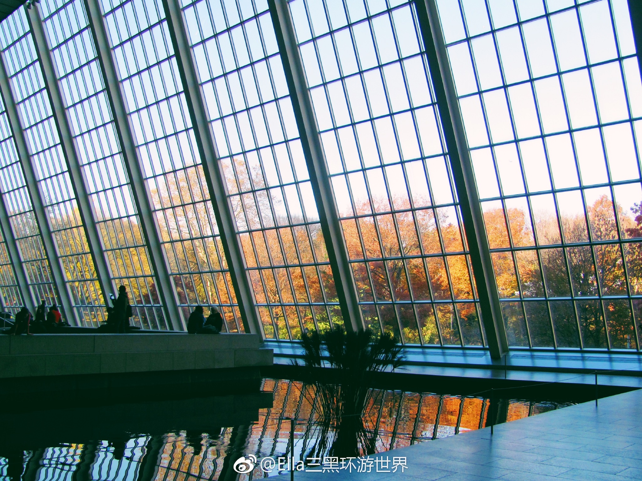 如果去美国,一定不要错过美国最大的博物馆——大都艺术博物馆