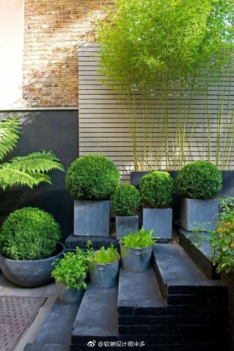 有个精心打造的院子真好!闲暇时打理花草是一种"高级享受"