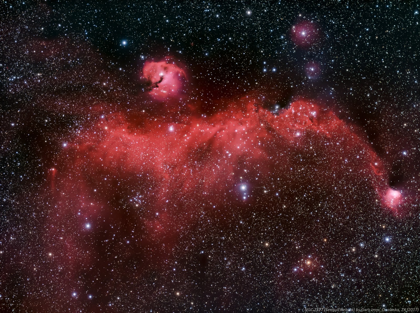 大犬座海鸥星云ic2177由深空拍摄zwoasi天文摄影