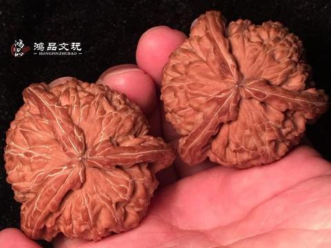 精品白狮子三棱核桃，大厚边，太难得了_新浪新闻