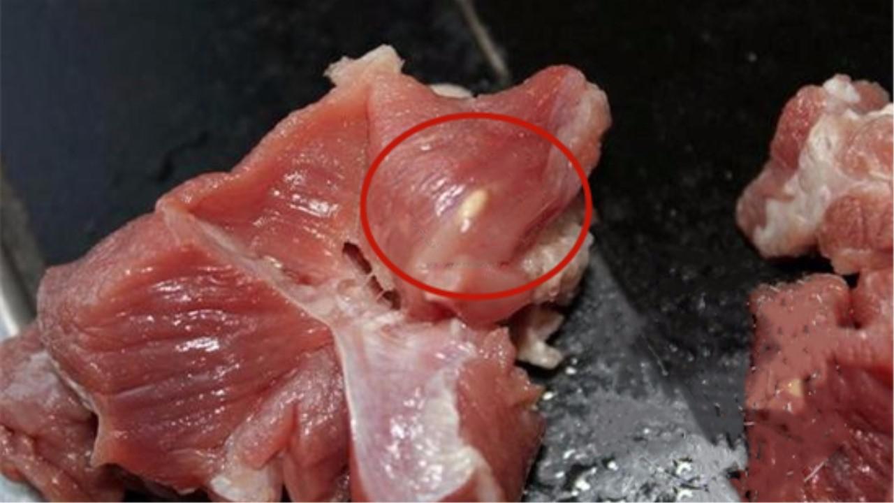 一旦发现猪肉有白色米粒,是不是整只猪都不能吃?